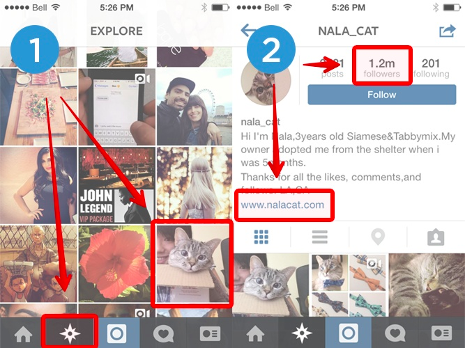 Free Ways To Get A Lot Of Followers On Instagram