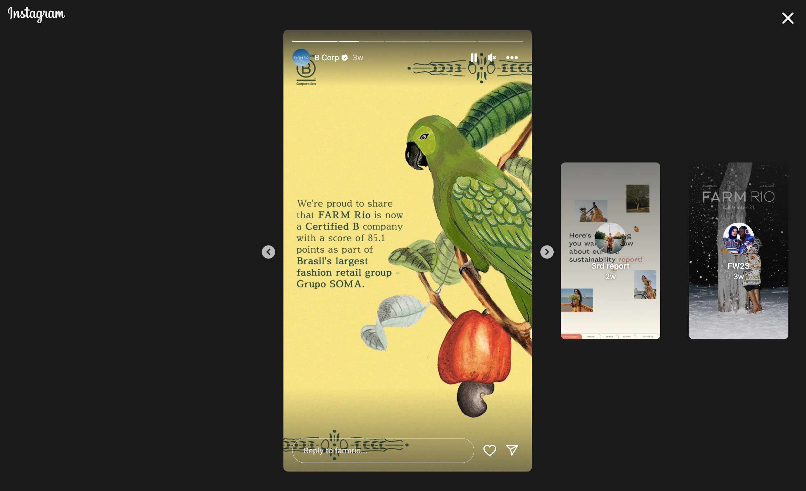 Desktop view of an Instagram Story by Farm Rio