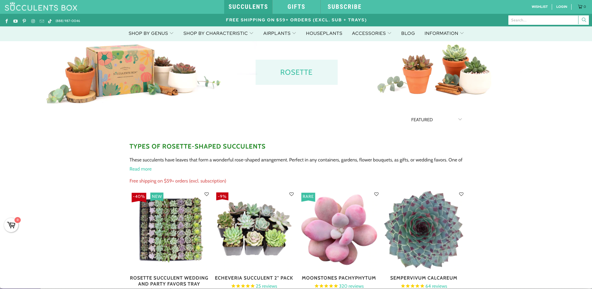 Succulents Box product landing page for rosette succulents