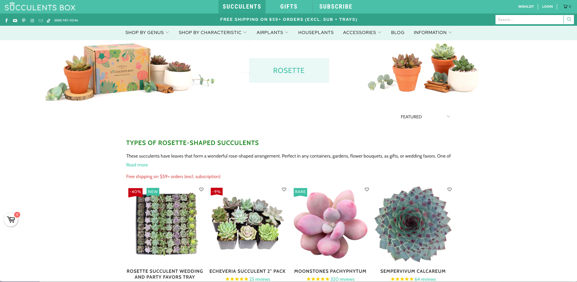 花环多肉植物 Succulents Box 产品登陆页面的屏幕截图