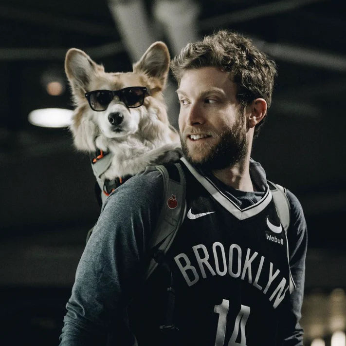 Co-founder Bryan Reisberg wearing a Brooklyn Nets jersey, with his corgi, Maxine, in a Little Chonk backpack. Maxine is wearing sunglasses. 