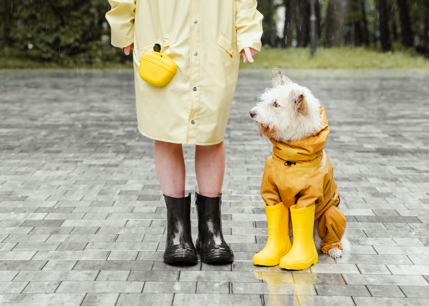 A person in a raincoat stands beside a dog