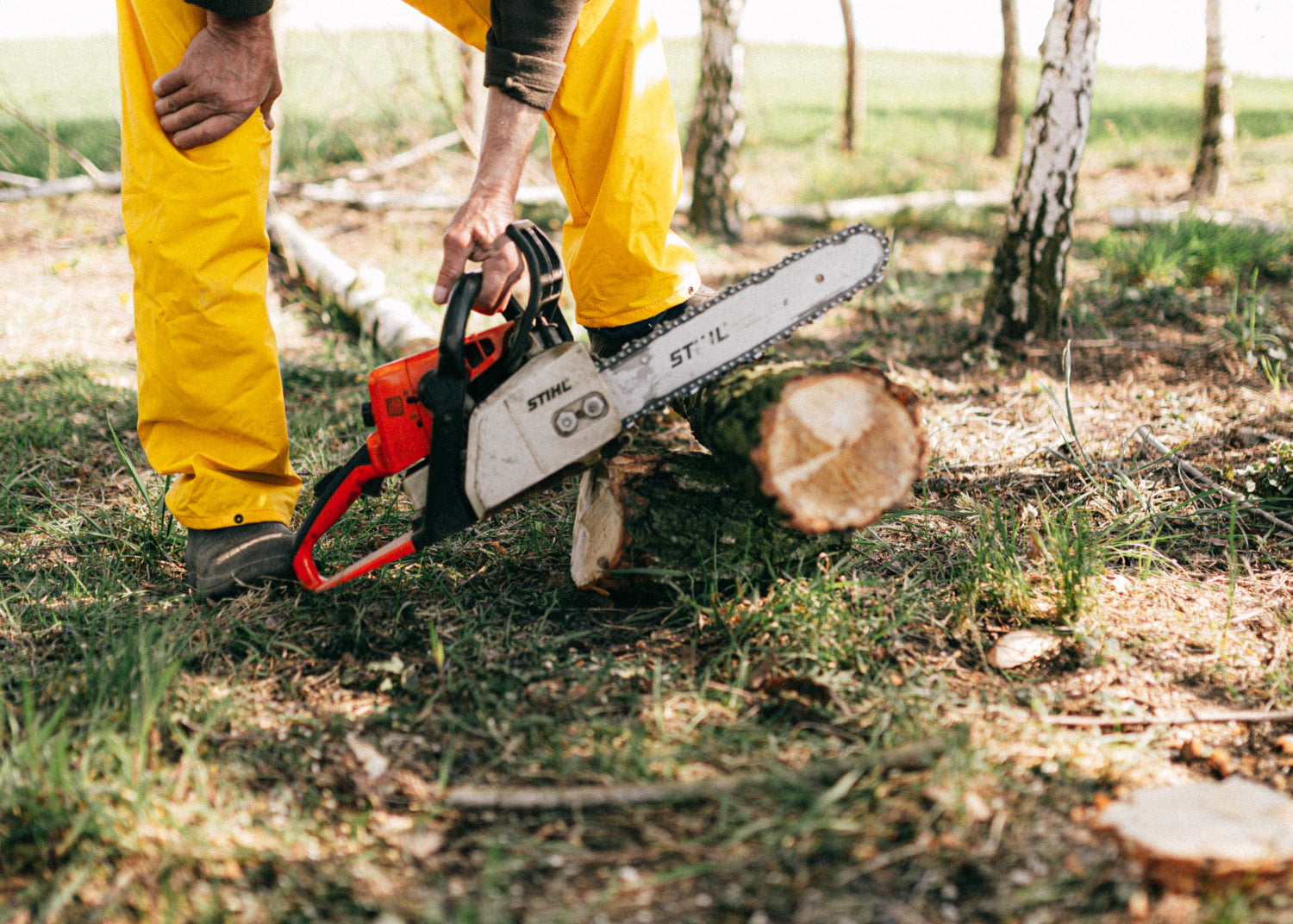 A person starts a chainsaw in a wooded setting