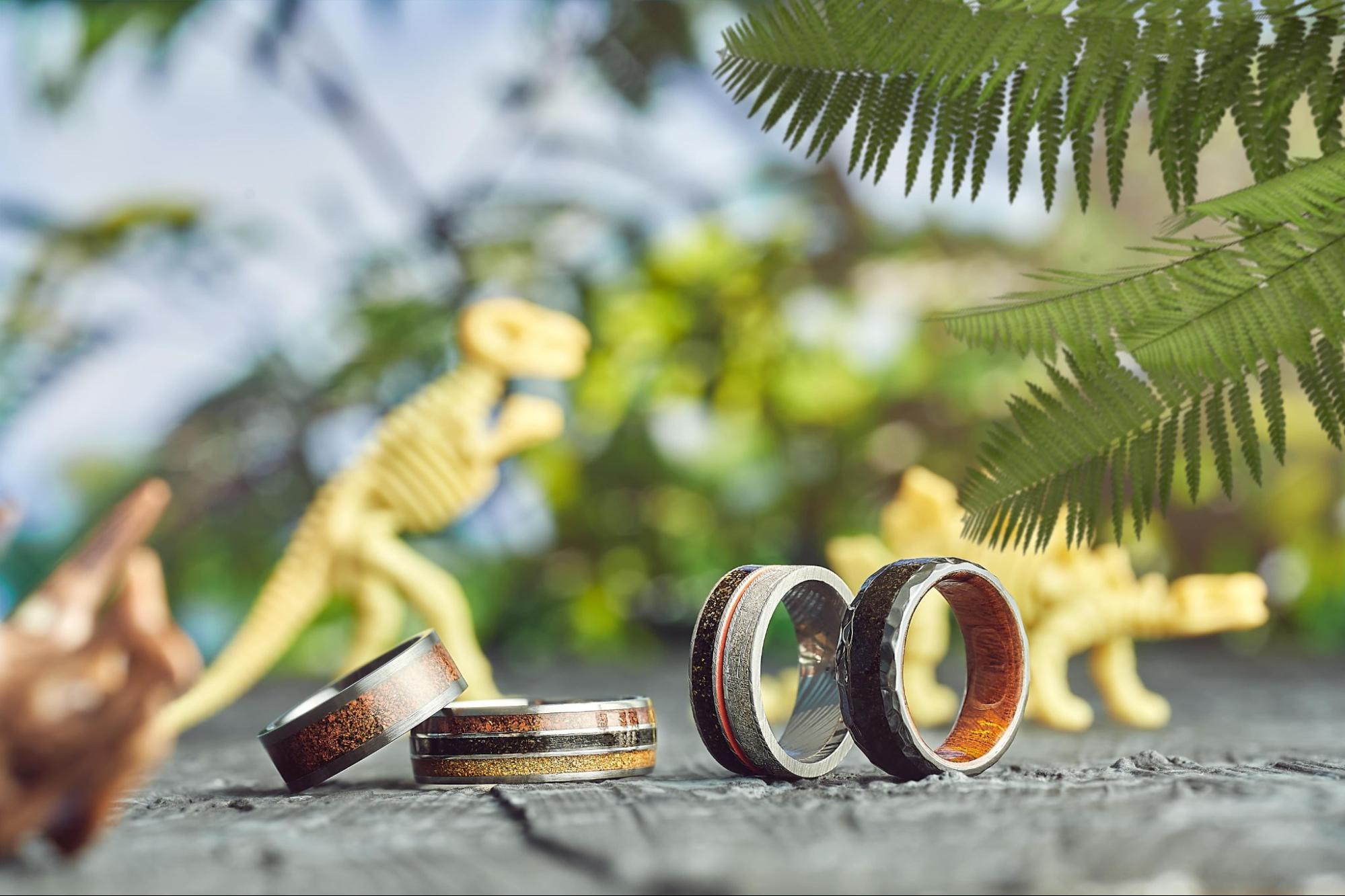 A selection of four rings against a background that has dinosaur models faded out.