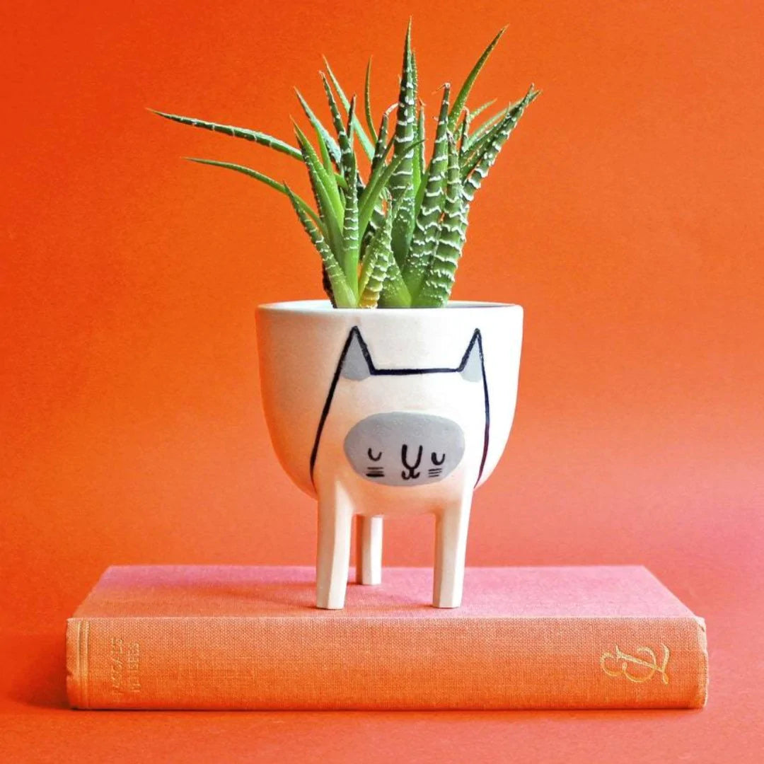 A cute planter with a small succulent sits atop a vintage book