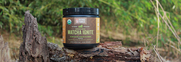 natural force shopify masters