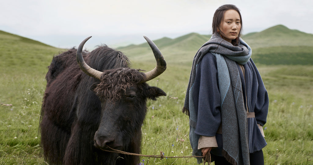 One of Norlha Textiles’ artisans, in a blue wool jacket and black pants, poses with an oversized blue scarf next to a yak on the plateau.