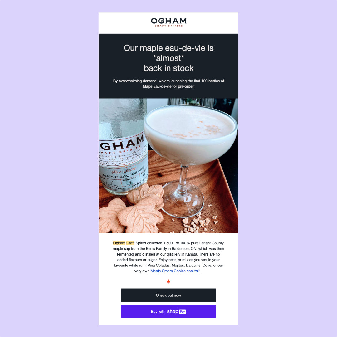 Example of email marketing using Shopify Email