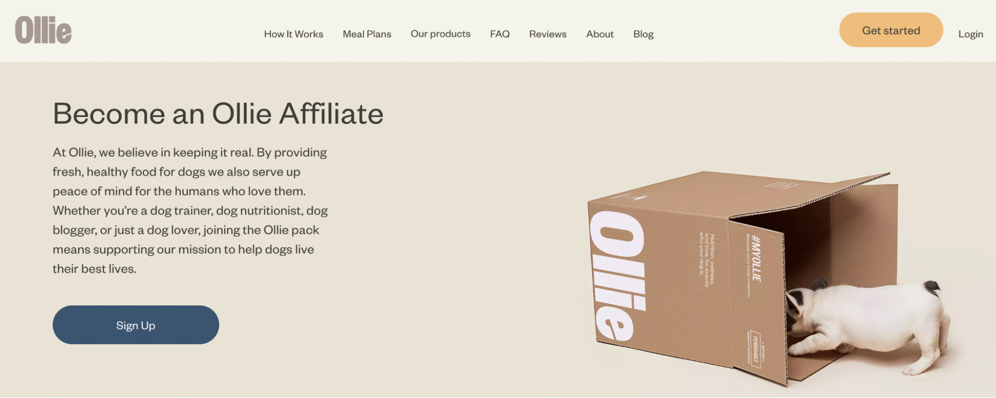 Ollie’s website showing a dog peering inside a delivery box.