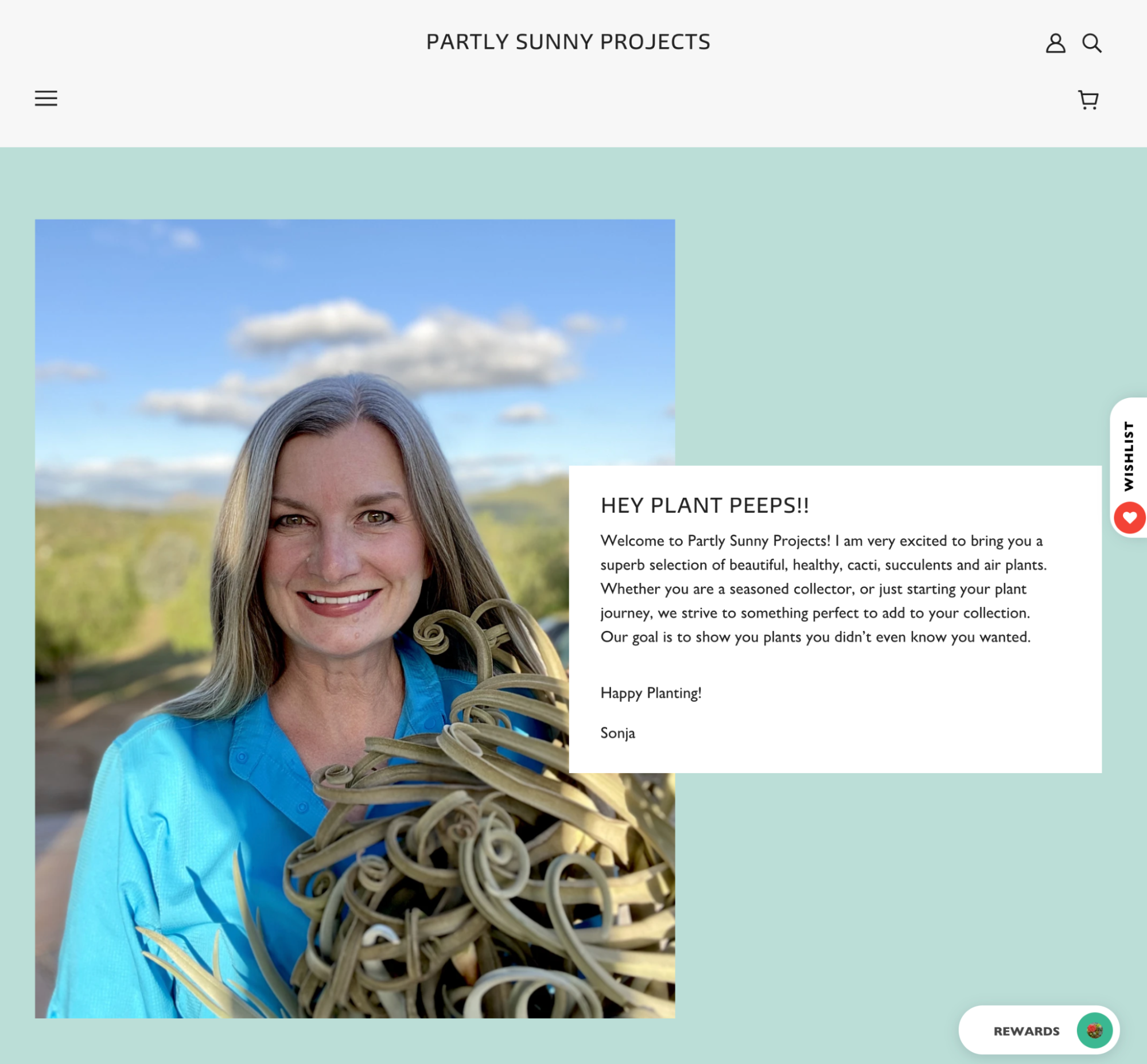 Partly Sunny Projects