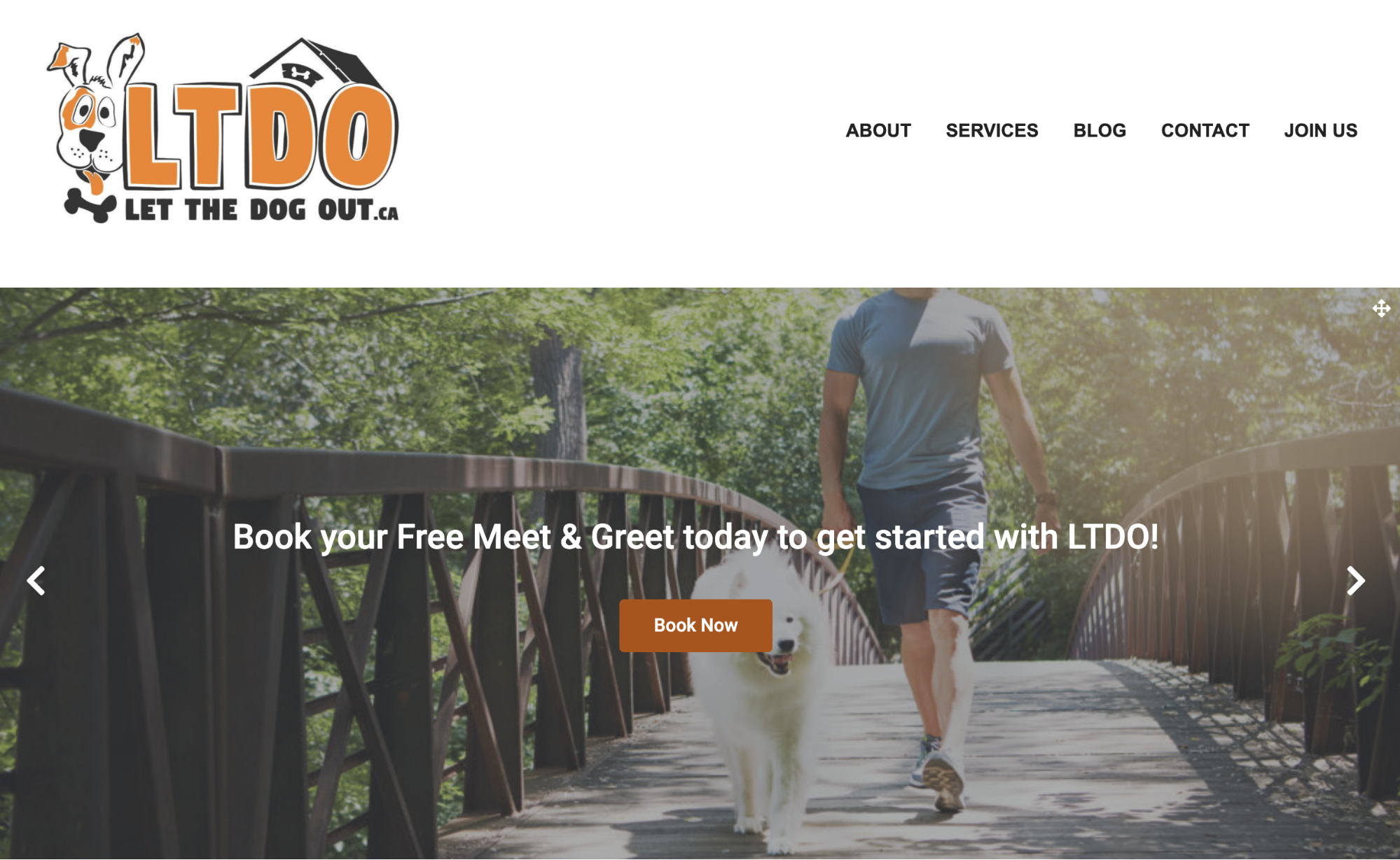 Website for Let the Dog Out that features a man with a dog walking across a wooden bridge.