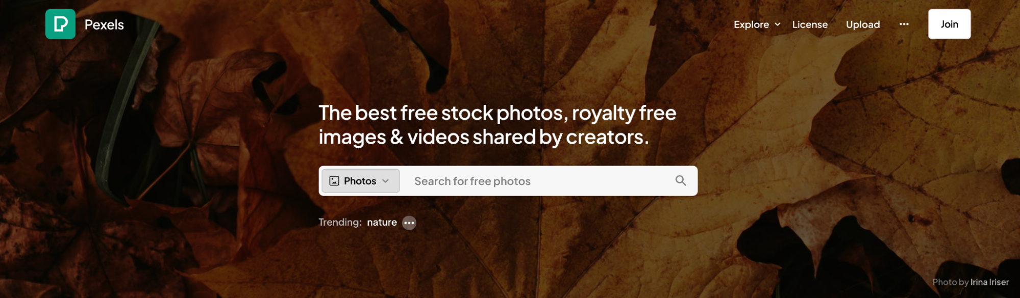 Pexels homepage featuring a nature free stock photo