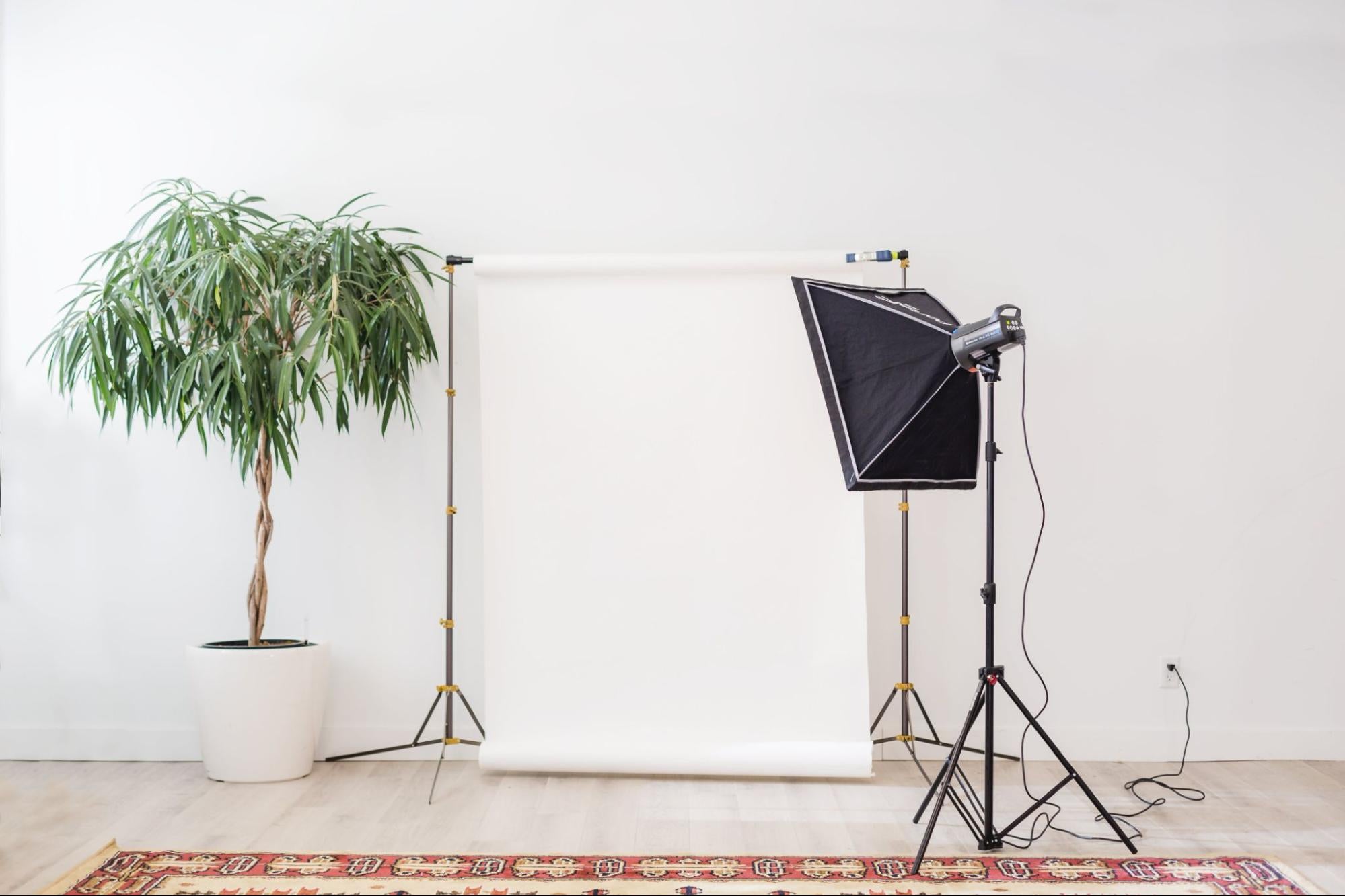 A white backdrop on stands is against the back wall with a soft light box in front of it.