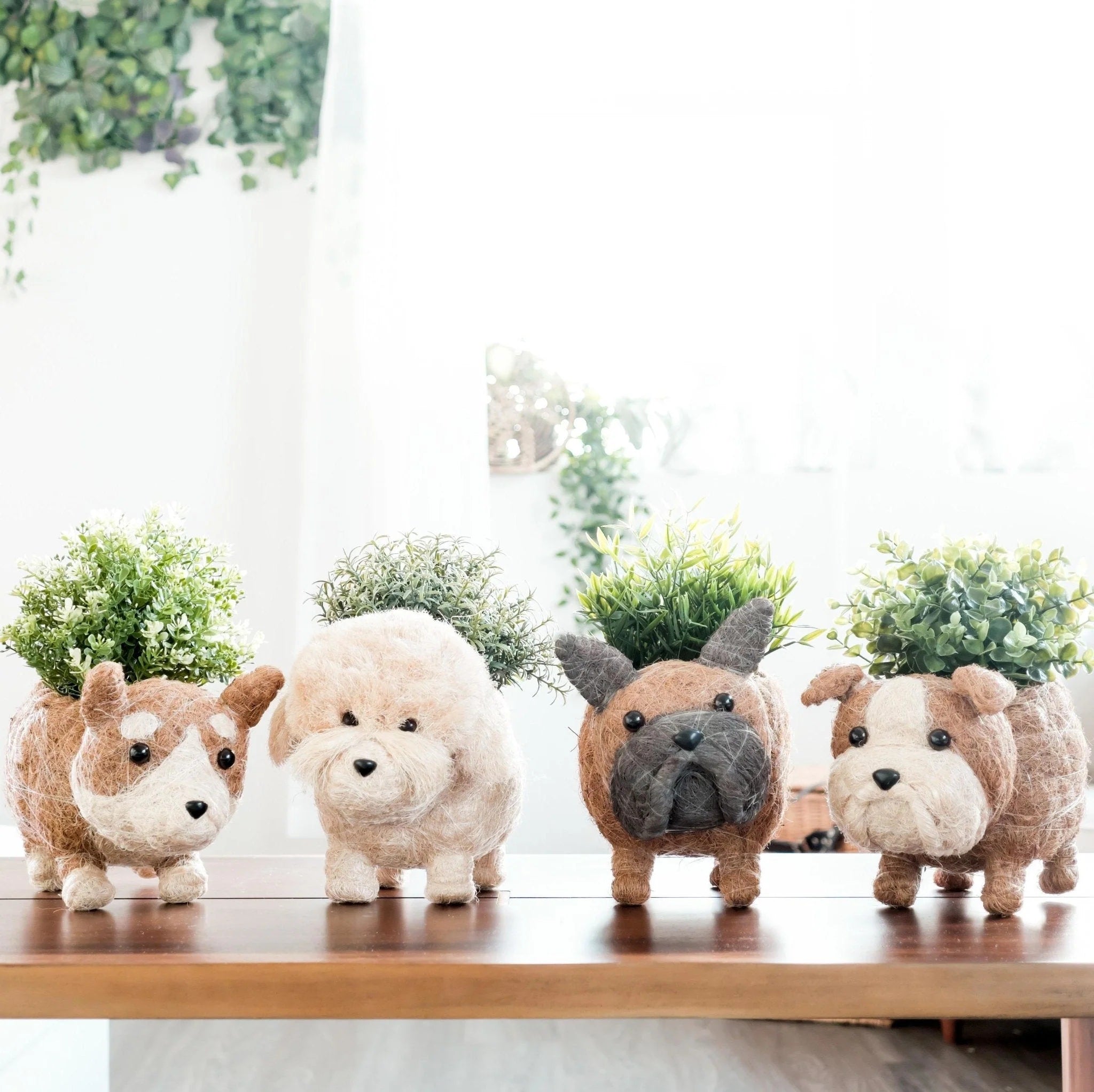 New Lane Road Mercantile's animal planters.