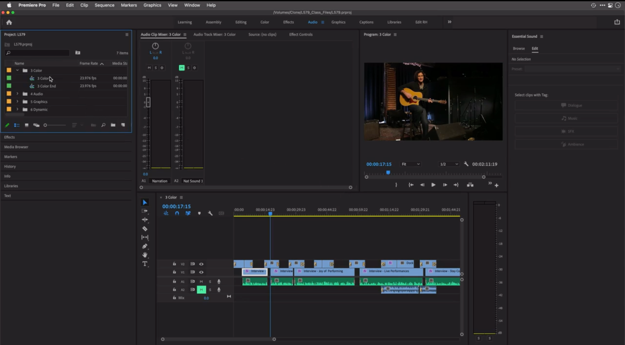 screenshot of Adobe Premiere Pro interface