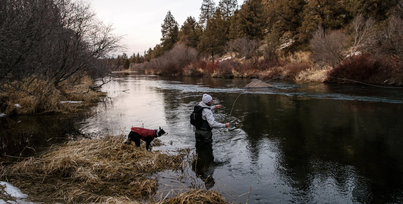 A man and his dog fly fish on a river bend. The dog wears a popular type of weatherproof jacket.