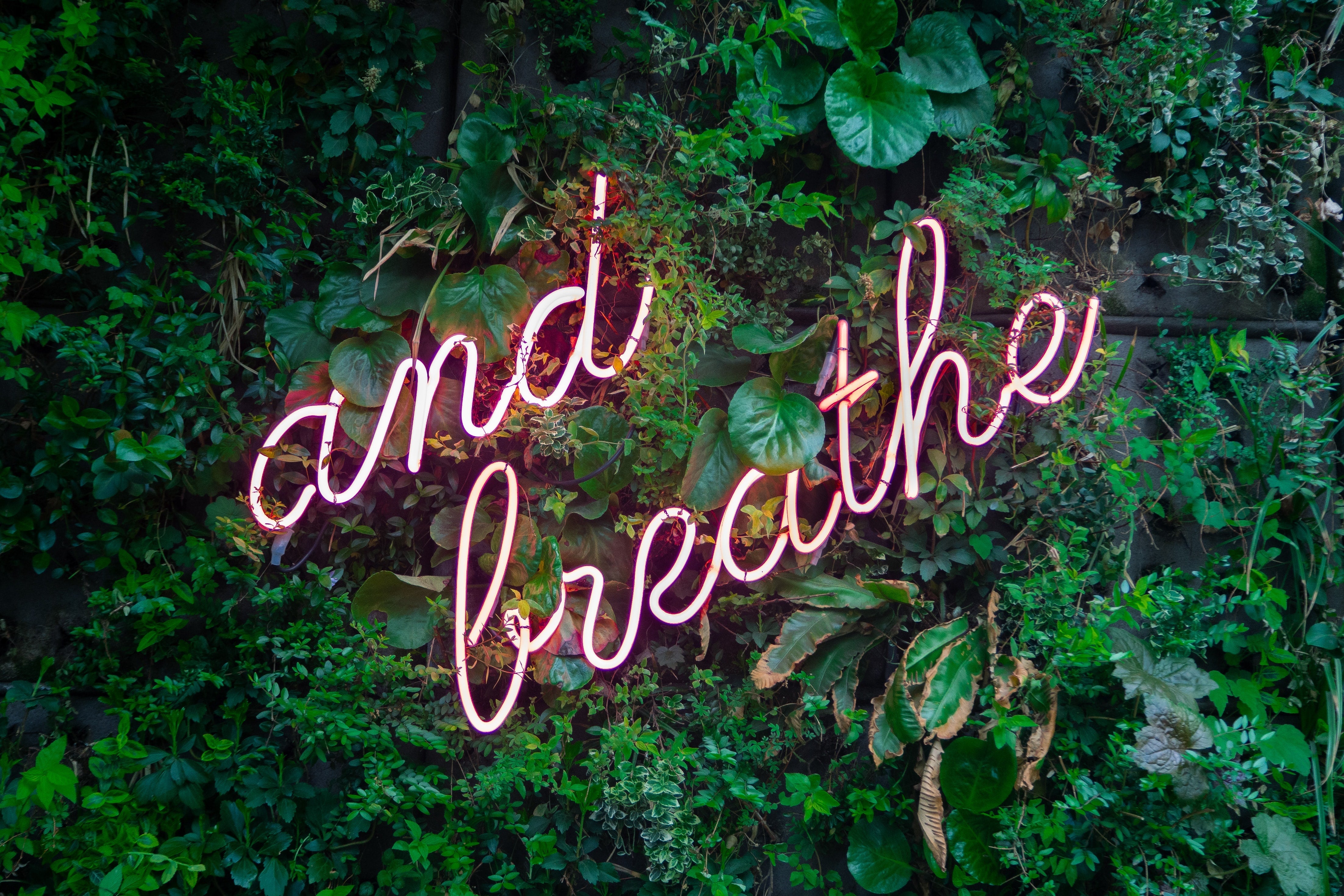 Neon lighting nestled among greenery reads "and breathe"