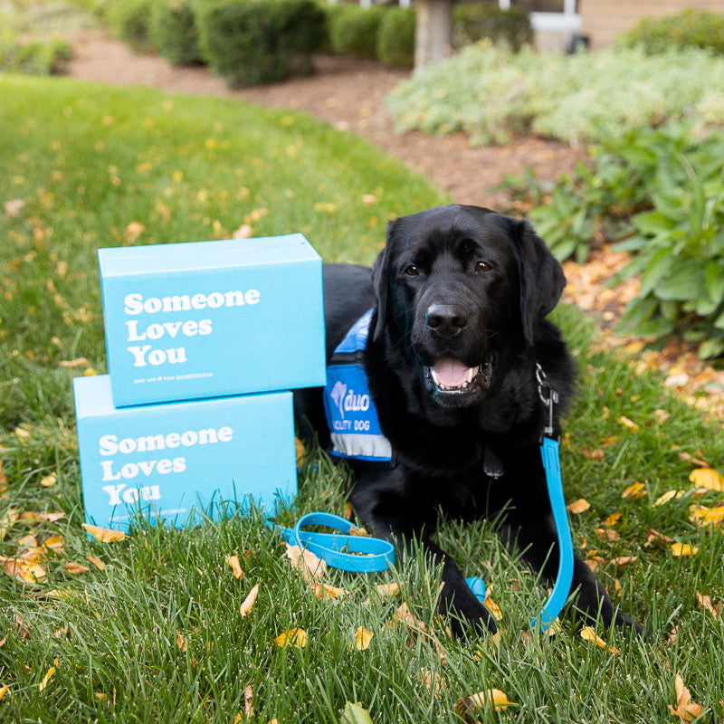 A black lab along with some boxes of SendAFriend gifts.