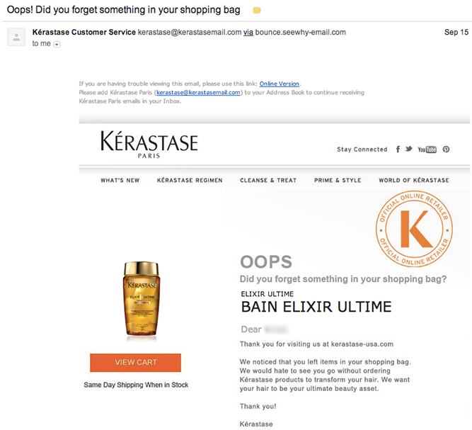 4 Ecommerce Transactional Emails You Should Be Optimizing And How To Do It Abandoned Cart Email Template Shopify