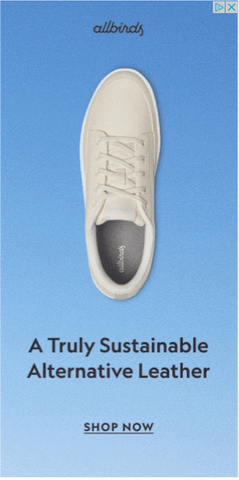 sidebar banner ad by allbirds with light blue background