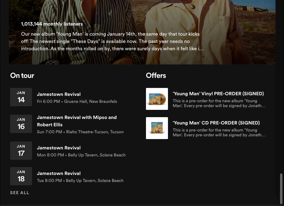 An example of selling opportunities on a Spotify artist page.