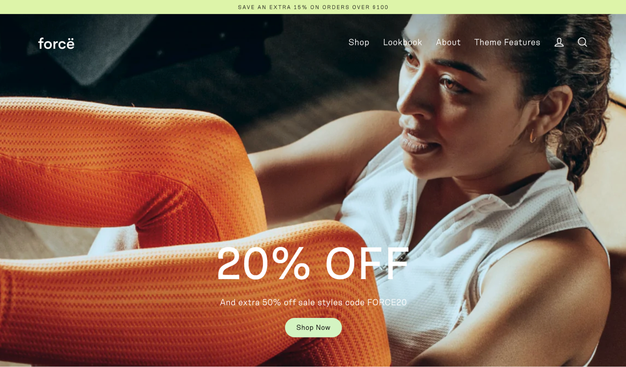 shopify theme