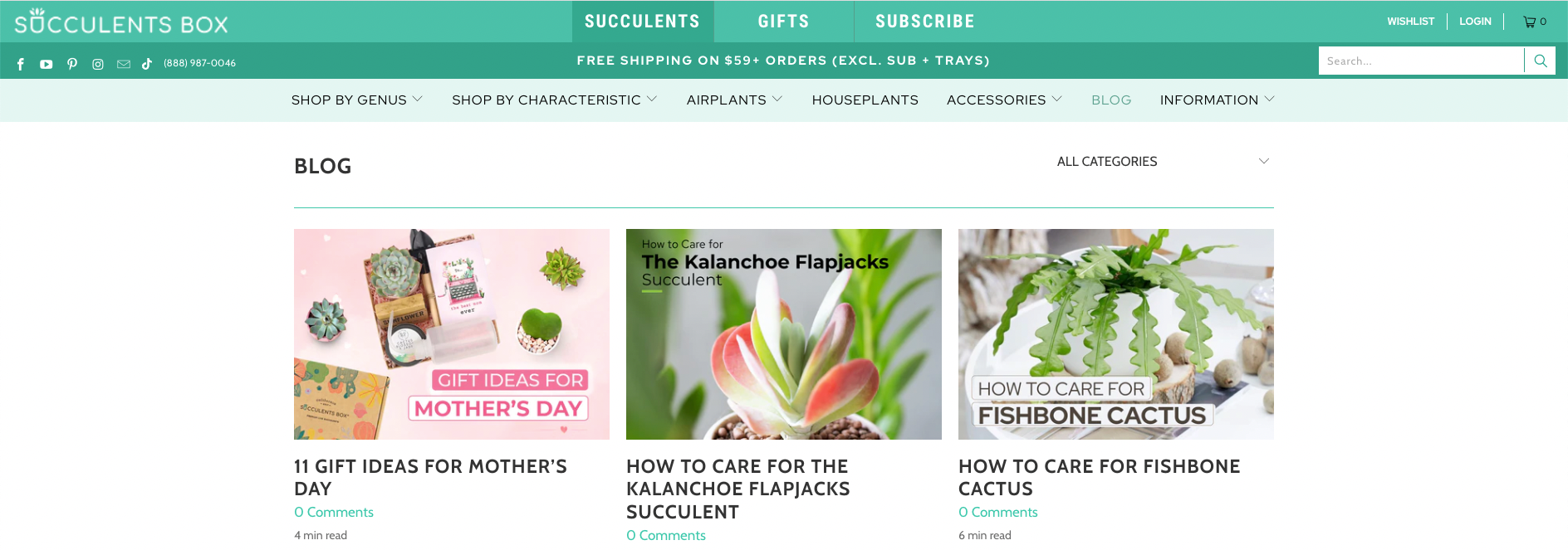 the succulents box blog