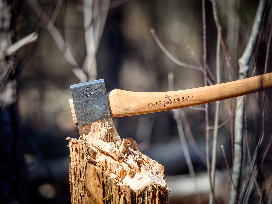 An axe is wedged into a tree stump