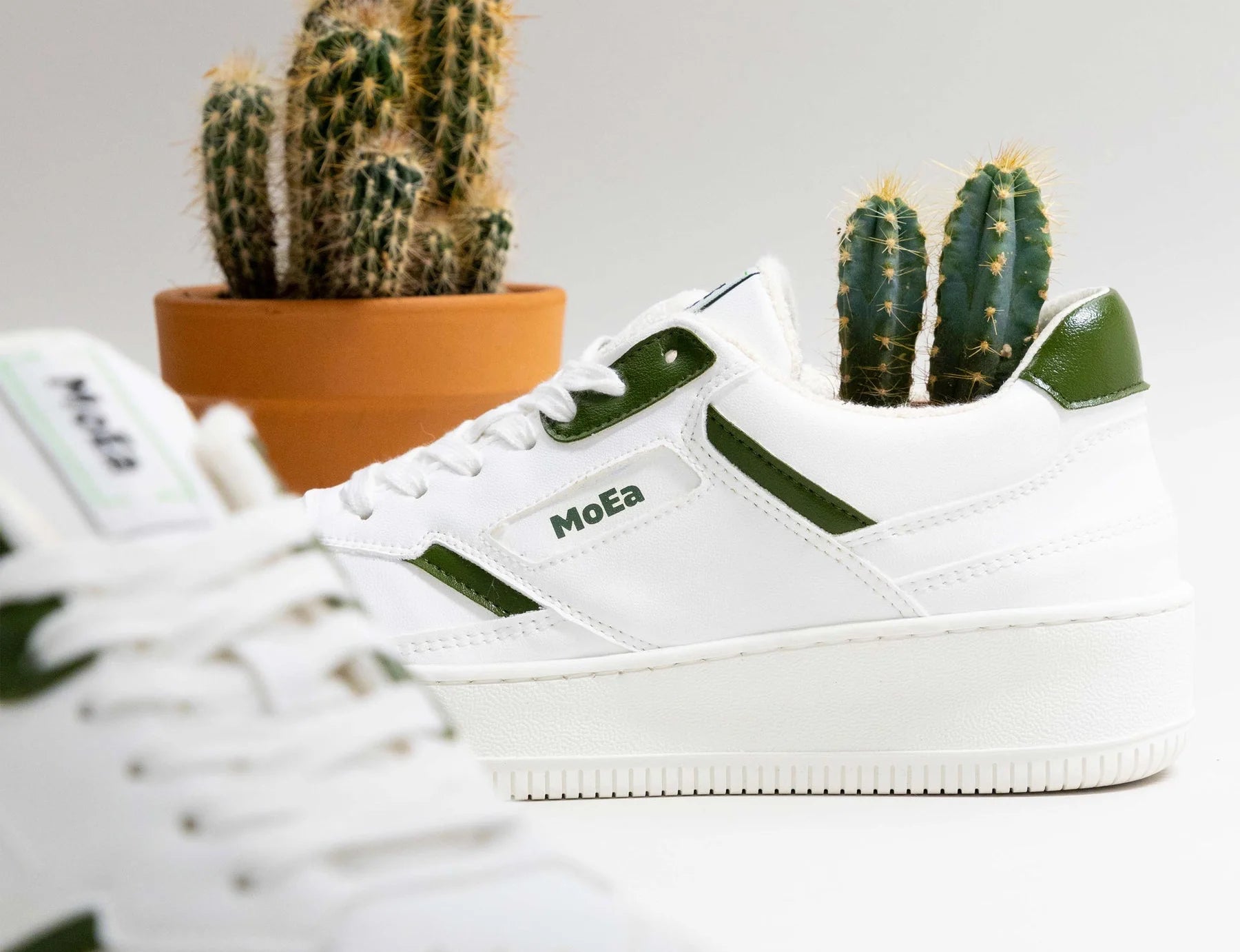 A pair of white cactus leather sneakers are arranged with cactus plants