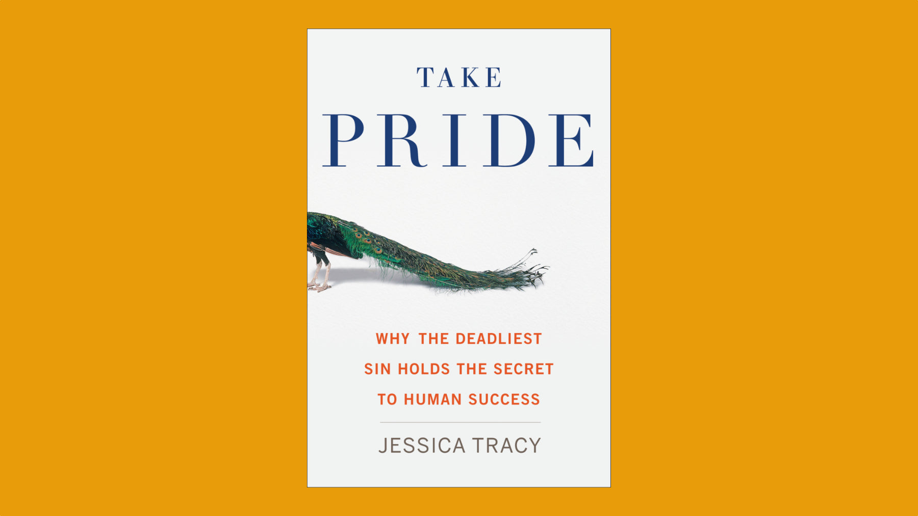 Book cover art for Take Pride