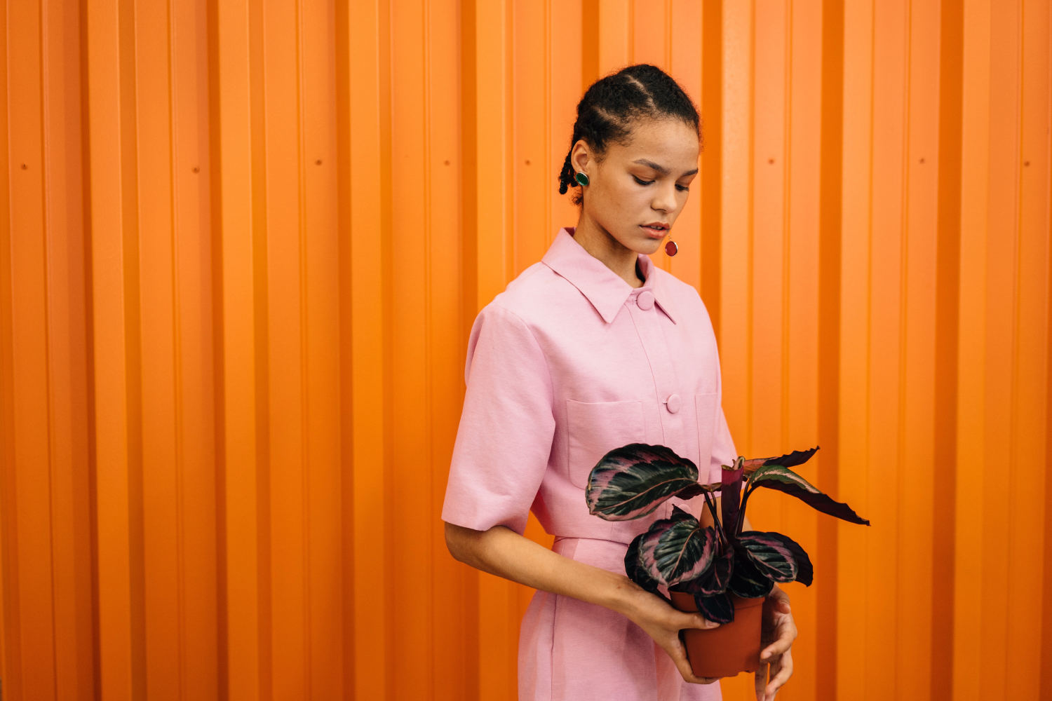 Woman holds a potted plant in front of a uniform orange background