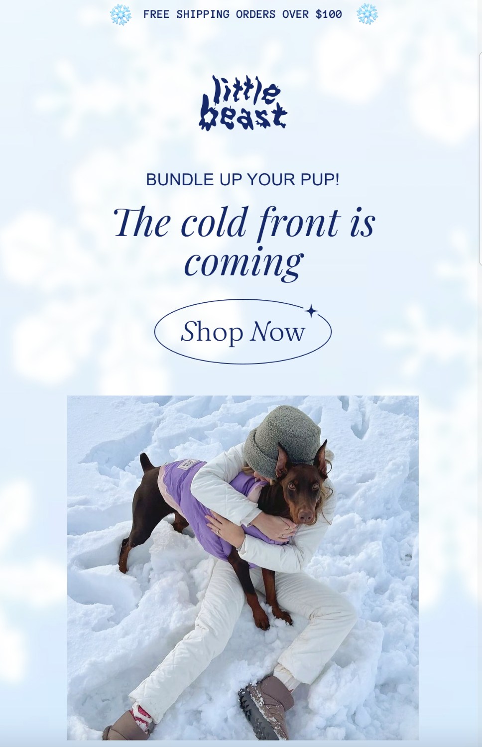 Little Beast's marketing email includes cute pictures of dogs wearing the brand's clothing, and it includes the option to purchase each outfit. First Panel