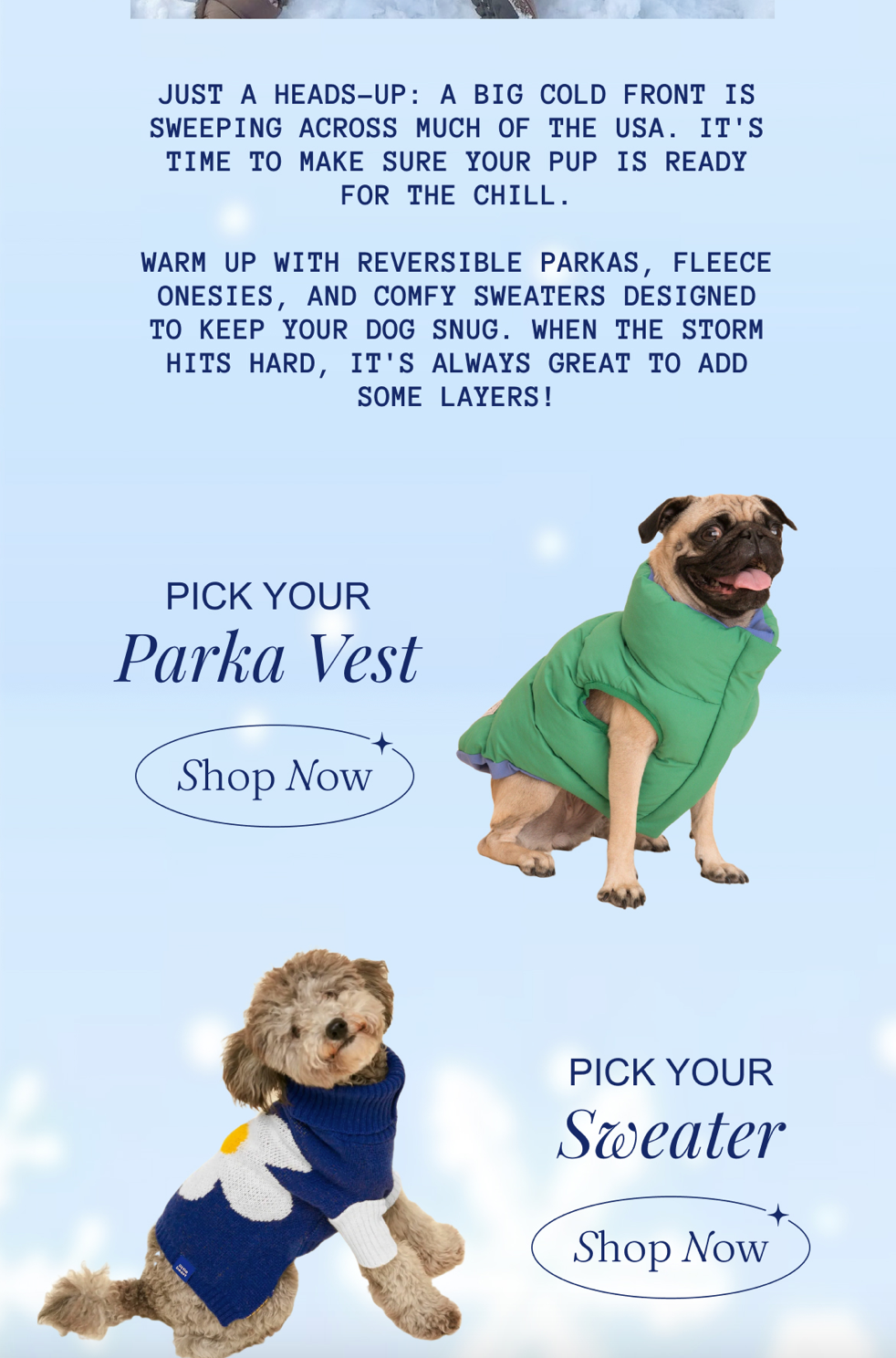 Little Beast's email includes pictures of dogs wearing the brand's clothing, with purchase links. Second Panel