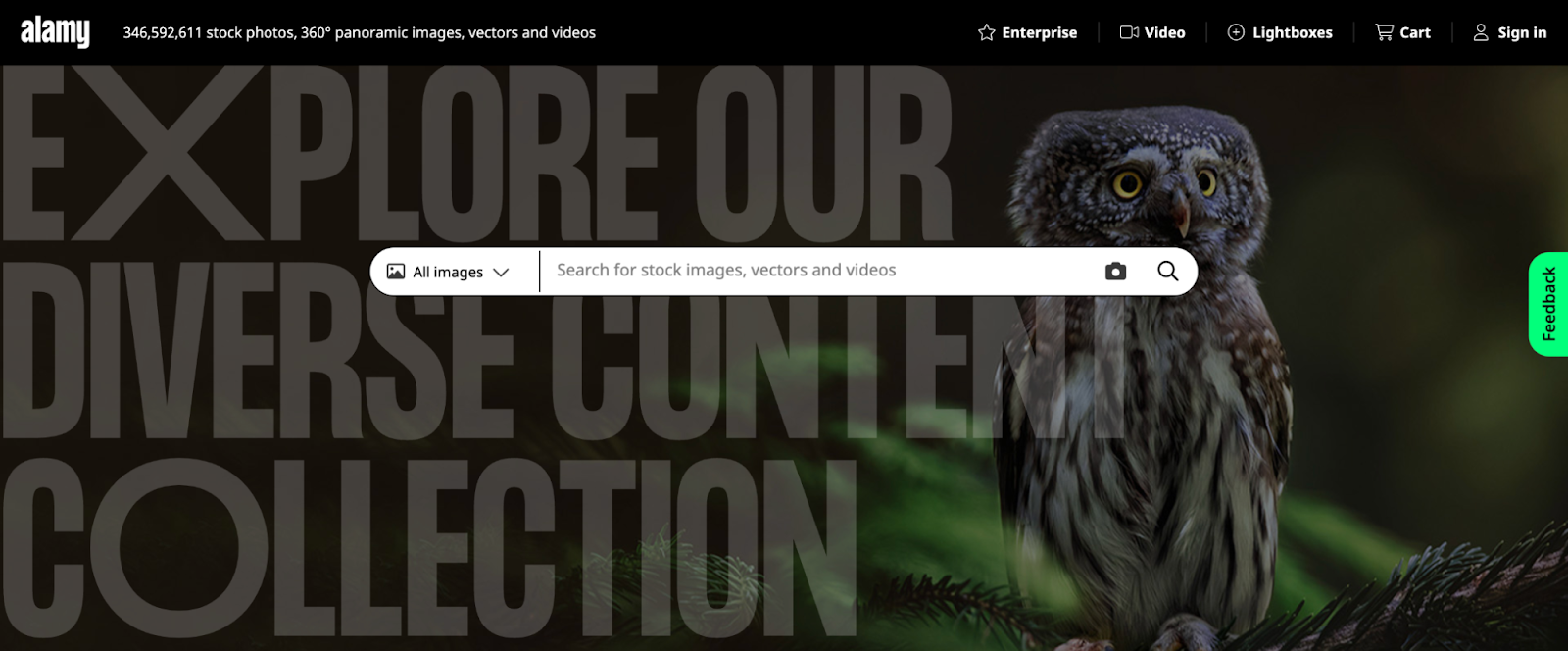 Alamy website with a search bar overlaid on a composite image of promotional text and an owl.