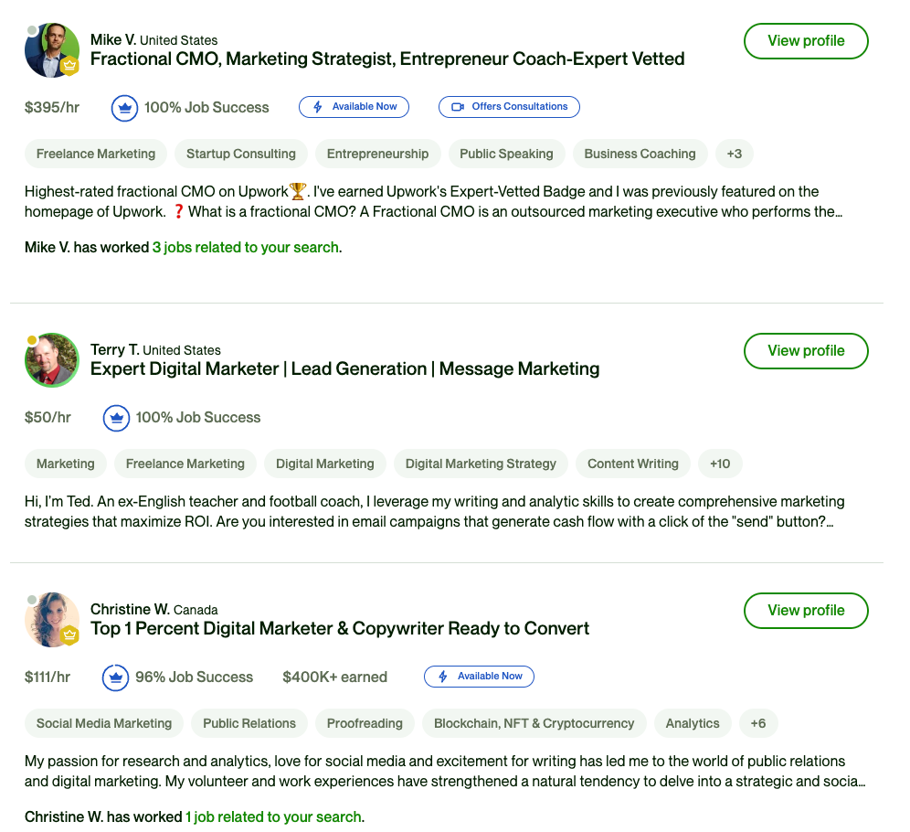 Screenshot of freelance marketers on Upwork.