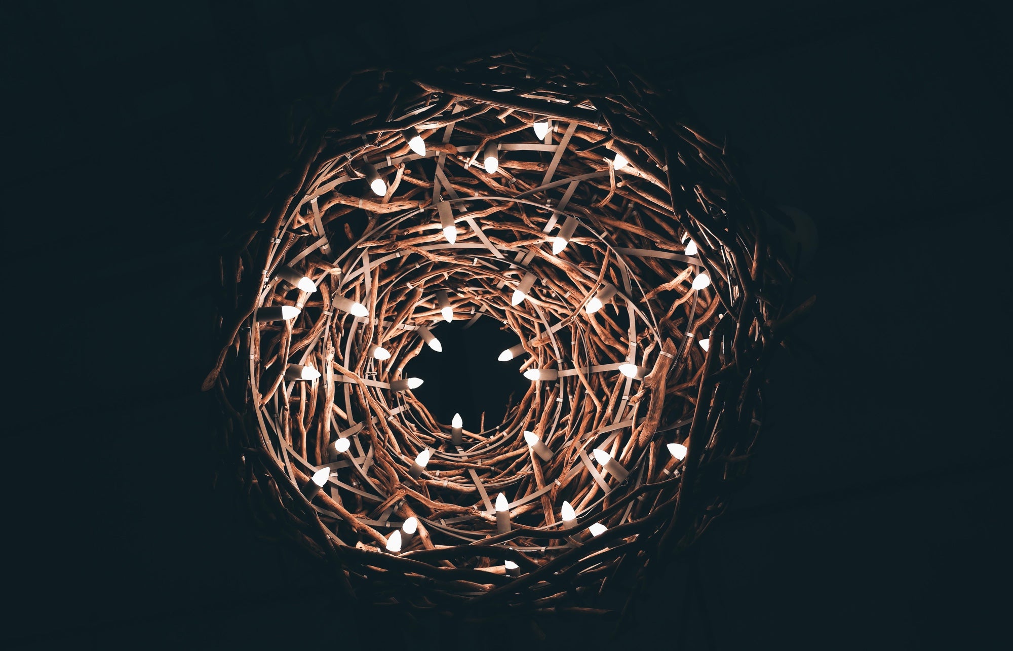 A nest of LED string lights