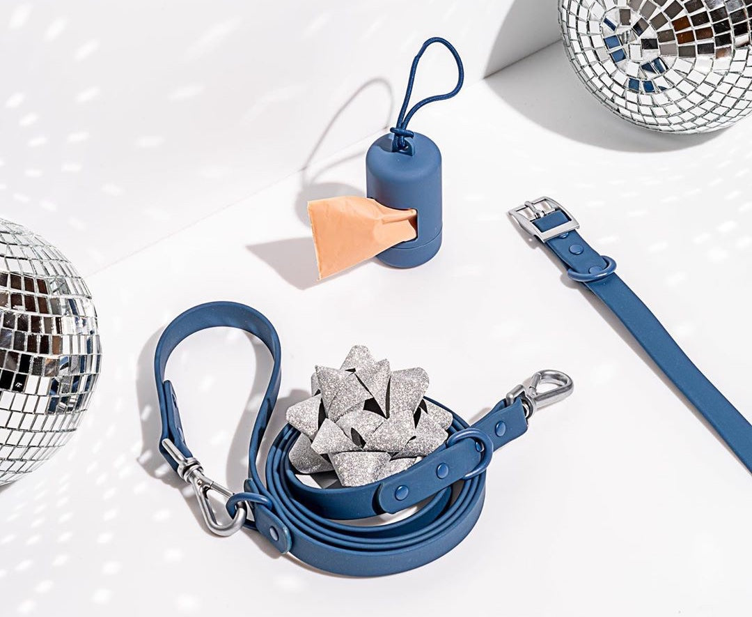 Assortment of blue dog accessories on a white background with festive silver decorations