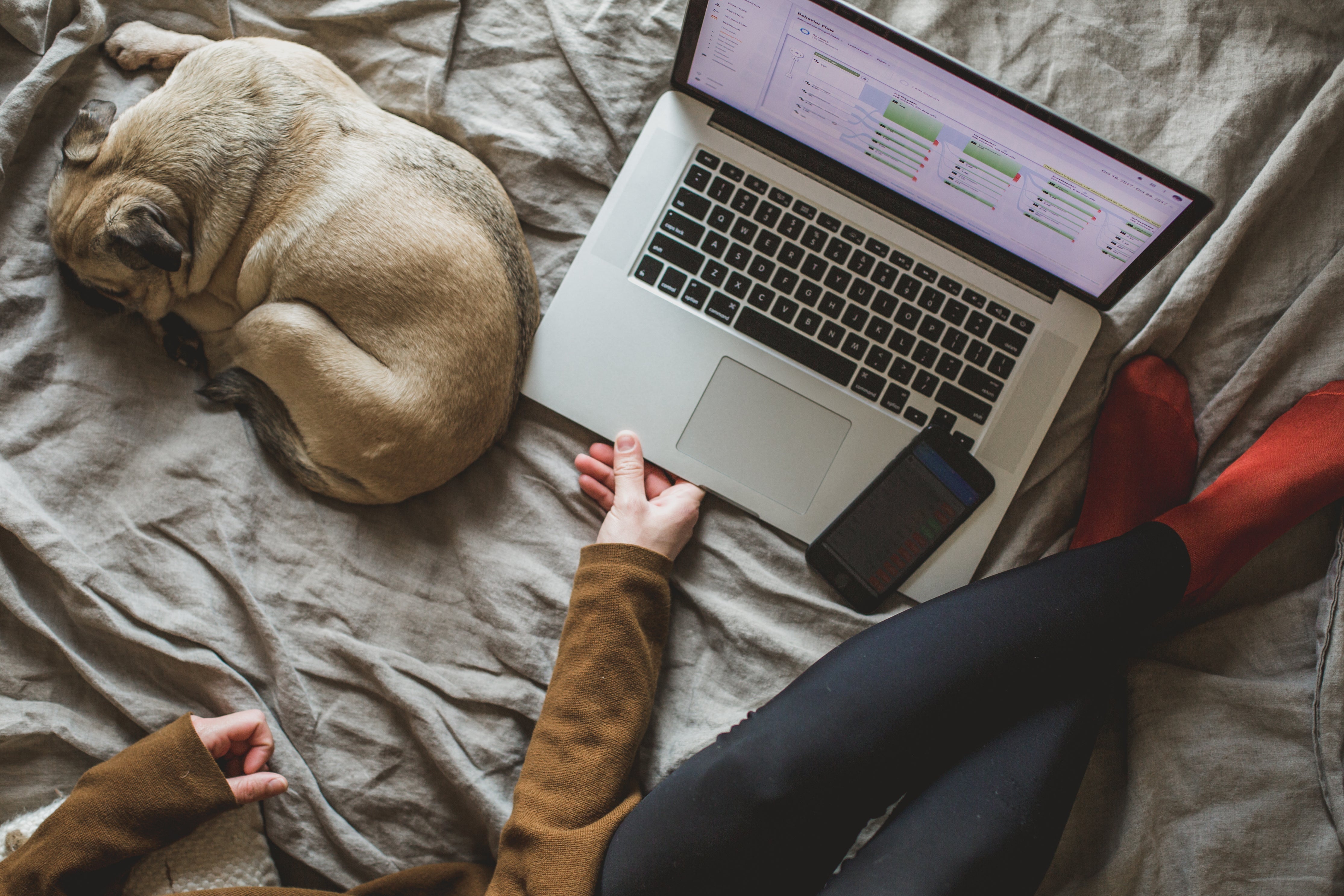 A person works on their business from a bed next to a sleeping dog.