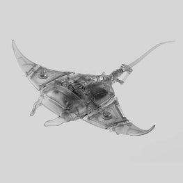 mobula-manta-ray- (19).jpg__PID:8b3ca341-7a98-4ce6-bd08-8476a4fec619