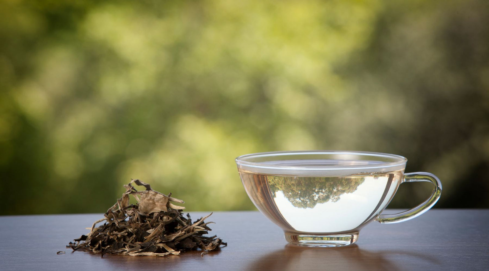 What is White Tea? Origins, Taste And More - TopicTea