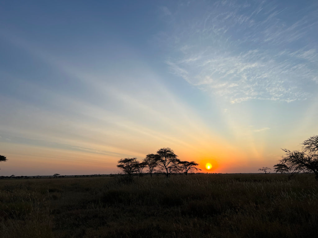 serengeti sunset 