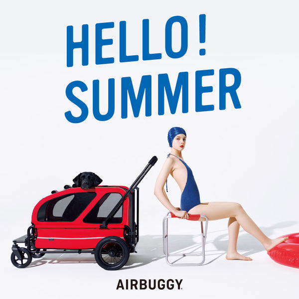 airbuggy for dog