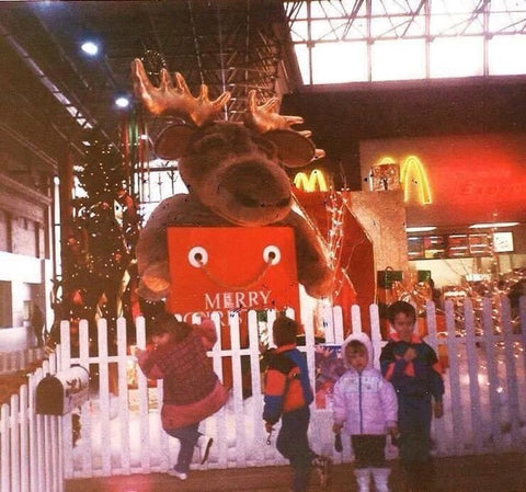 moose-that-needs-a-christmas-sweater