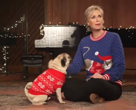 doug-the-pug-christmas-sweater-febreze-jane-lynch