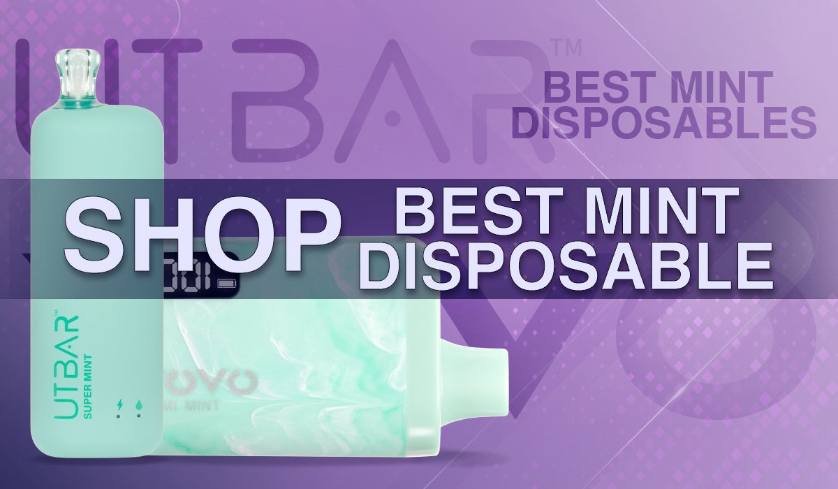 Best Mint Disposable vapes Shop Now