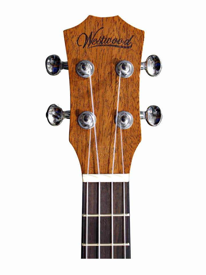 westwood acoustic guitar price