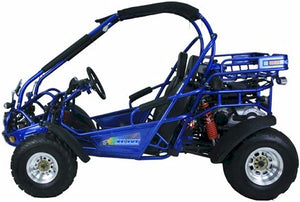 300 XRX-E Dune Buggy Go Kart, EFI Fuel Injected, Liquid Cooled, Shaft Drive
