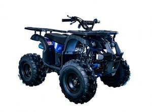 
            
                Load image into Gallery viewer, Rider-10 125 ATV, Auto with Reverse, Front Rack, Rear Rack, Deluxe front Bumper
            
        
