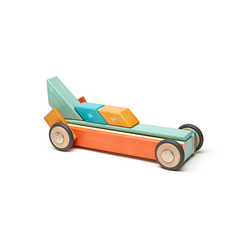 tegu car