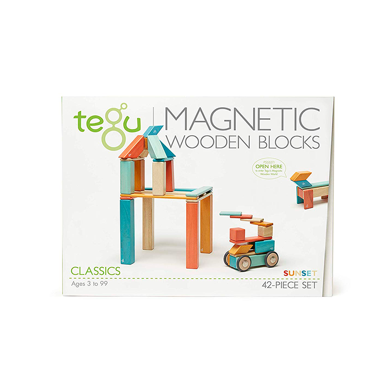 tegu magnetic wooden block set